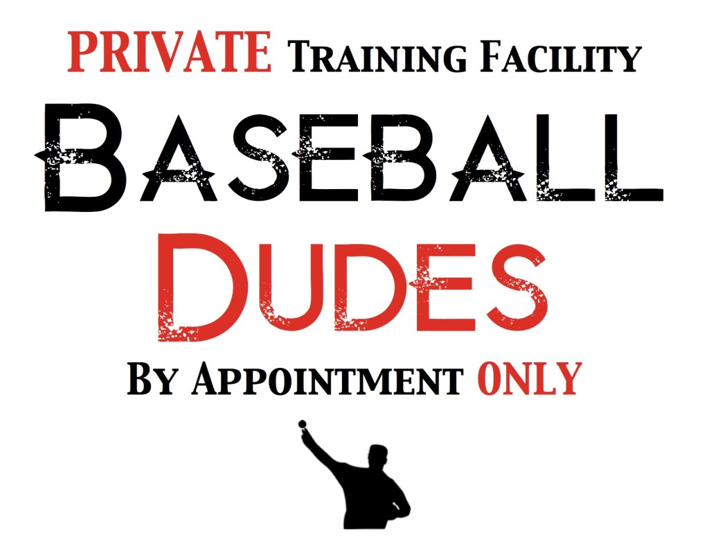 Baseball Player Development Program