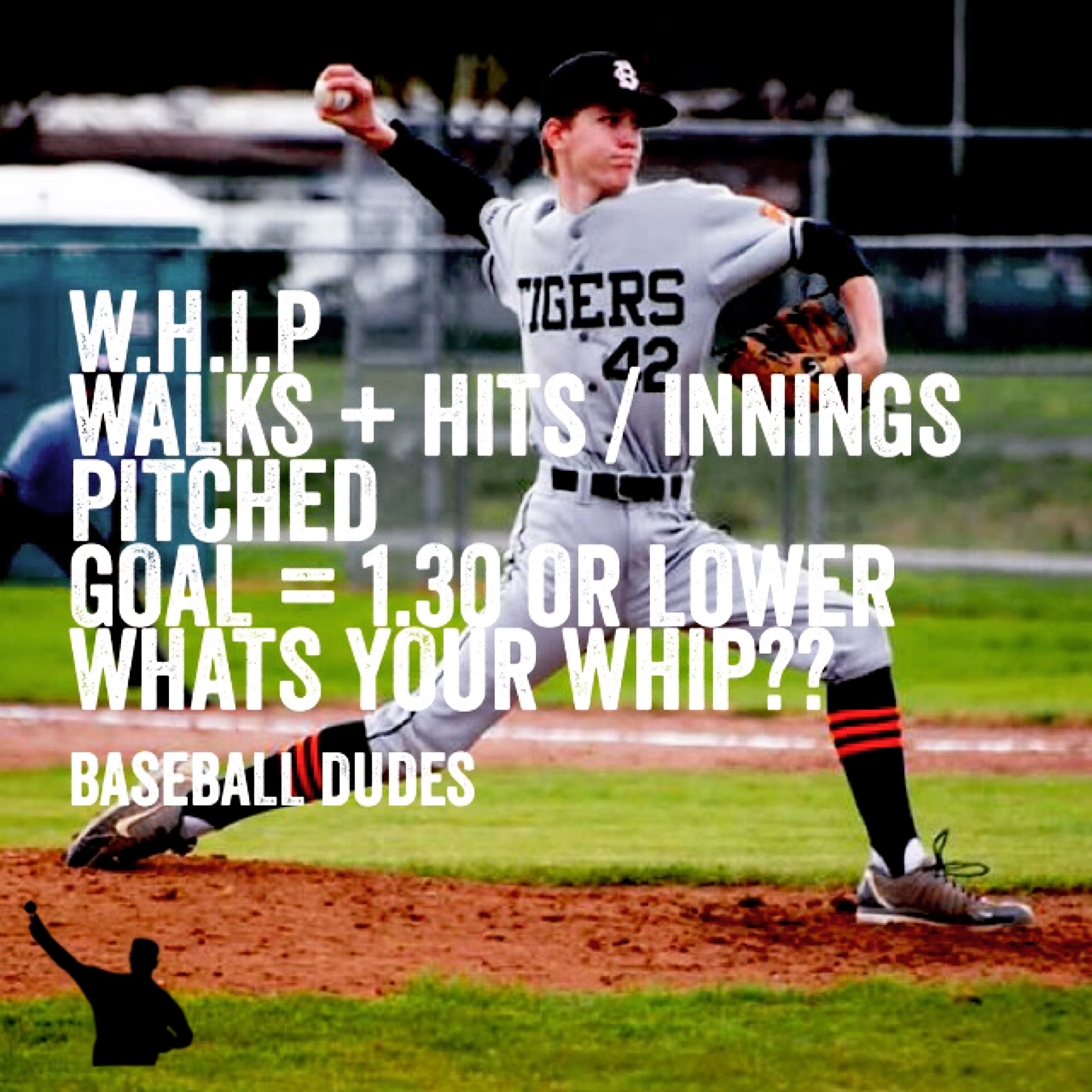Baseball Dudes Original Quotes || Baseball Dudes LLC