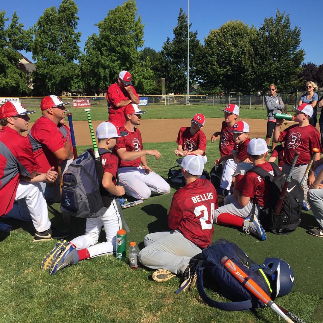 Professionalism || Baseball Dudes LLC